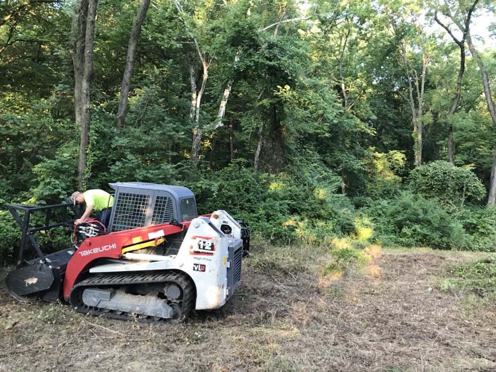 LD RANCH FORESTRY MULCHING Updated September 2024 37 Photos 4315