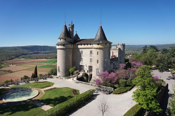 Chateau De Mercues by null