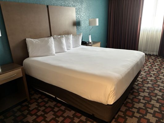 Radisson Hotel St. Paul Downtown by null
