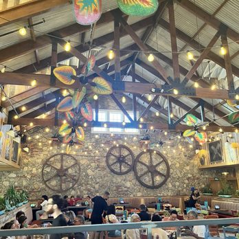 Bahama Breeze - Bars Near Me - Kissimmee, Florida Bahama Breeze - Bars Near Me - Kissimmee, Florida