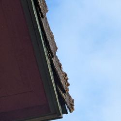 Johnny Tsunami Exterior Cleaning