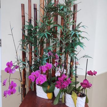 Tub Tim Thai Restaurant - Orchids - Thai Near Me - Wellington, Florida Tub Tim Thai Restaurant - Orchids - Thai Near Me - Wellington, Florida