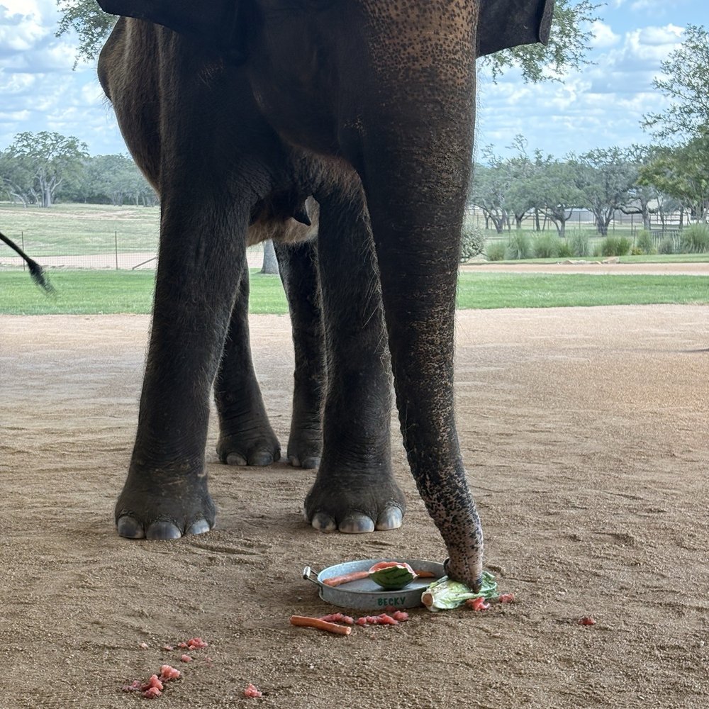The Preserve - Zoos Near Me - Fredericksburg, Texas