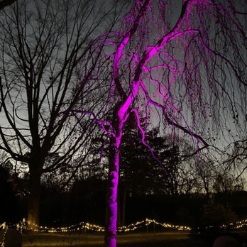 LongHouse Reserve - Illuminated pink tree with the path lights behind it. - Parks Near Me - East Hampton, New York LongHouse Reserve - Illuminated pink tree with the path lights behind it. - Parks Near Me - East Hampton, New York