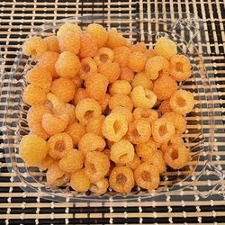 Hansen's Green Bluff Orchard - Golden raspberries we picked off the vine. So good