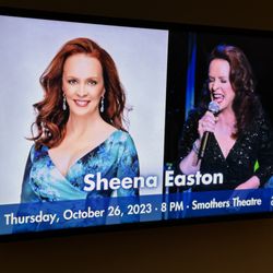 Lisa Smith Wengler Center For The Arts