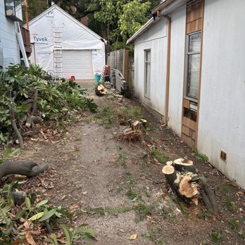 DH Hauling and Demo - Demolition Services Near Me DH Hauling and Demo - Demolition Services Near Me