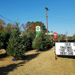 Elk Mountain Christmas Trees - Trees and sign near Hwy 751