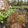 Photo of Howling Hound Gardens
