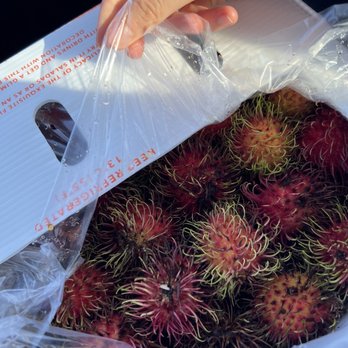 Tri Ocean - Rambutans - Seafood Markets Near Me - Denver, Colorado Tri Ocean - Rambutans - Seafood Markets Near Me - Denver, Colorado