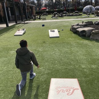 Lark Brewing - Corn hole, love it! - Breweries Near Me - Aldie, Virginia