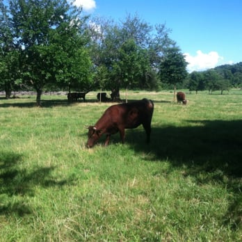 Piscataway Park - Plenty of animals here; the same ones you would have seen in 1700s Maryland. - Parks Near Me - Accokeek, Maryland Piscataway Park - Plenty of animals here; the same ones you would have seen in 1700s Maryland. - Parks Near Me - Accokeek, Maryland