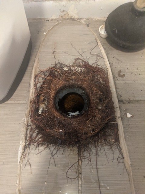Slide of Mr B's Plumbing Sewer & Drain