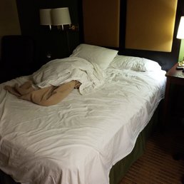 Came in after a long day tour