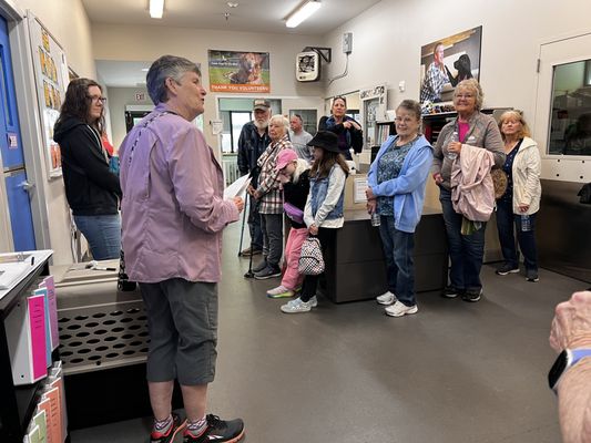 Guide Dogs For the Blind