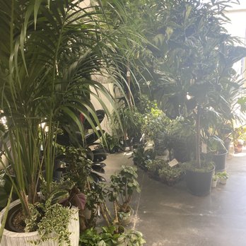Interior Gardens - entry way into the shop - Nurseries & Gardening Near Me - Las Vegas, Nevada Interior Gardens - entry way into the shop - Nurseries & Gardening Near Me - Las Vegas, Nevada
