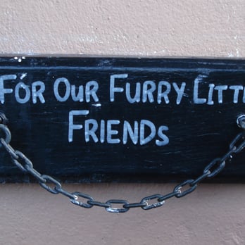 Jack Rabbit - Tie up the ferret while you have a drink, Jack Rabbit, Plymouth - British Near Me - Plymouth, DEV Jack Rabbit - Tie up the ferret while you have a drink, Jack Rabbit, Plymouth - British Near Me - Plymouth, DEV
