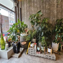 Plants next to the front door