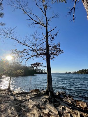 Lake Lanier by null