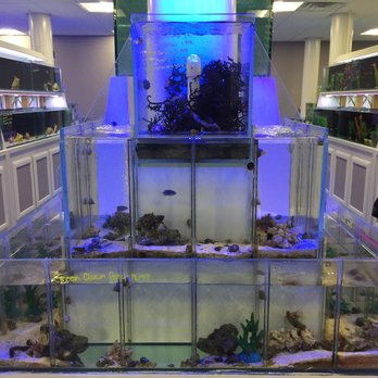 Southern Aquatics Local Fish Store - Aquarium Services Near Me - Roswell, Georgia Southern Aquatics Local Fish Store - Aquarium Services Near Me - Roswell, Georgia