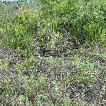 Wild Willy's Airboat Tours - Boat Tours Near Me - Saint Cloud, Florida