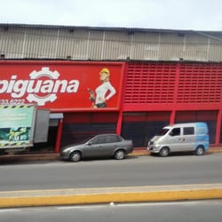 Apiguana