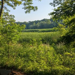 Mill Stream Run Reservation