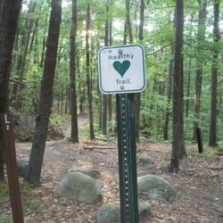 Lowell-Dracut-Tyngsboro State Forest