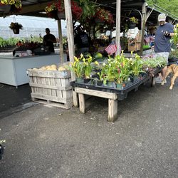Lavale Farm and Flower Heaven