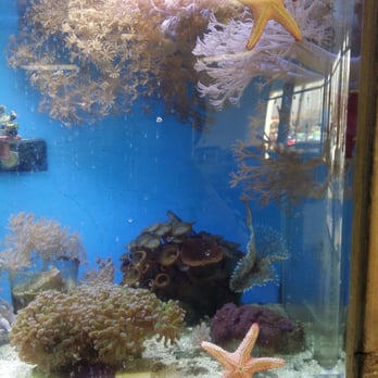 Vets Pets - Aquarium Services Near Me - El Cajon, California Vets Pets - Aquarium Services Near Me - El Cajon, California