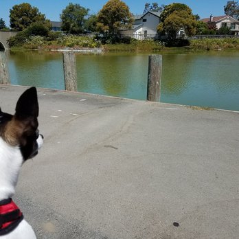Lakeshore Park - Parks Near Me - Newark, California