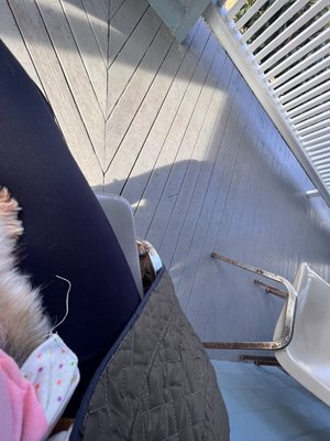 MERWIN MEMORIAL FREE CLINIC FOR ANIMALS Updated October 2025 242