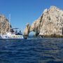 Photo of Cabo Cruise