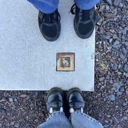 Purrfect Picks - Cute kitty tile outside the shop!