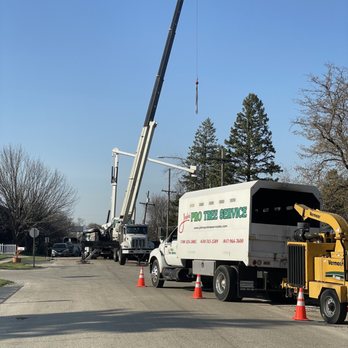 Pro Tree Service - Tree Services Near Me - Mokena, Illinois