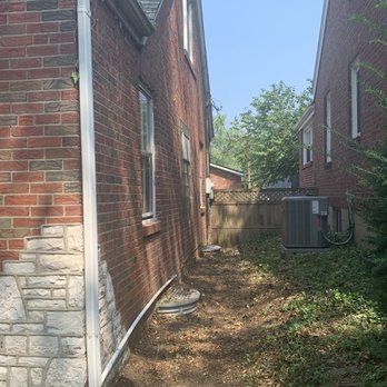 Accurate Tree and Landscaping - They removed all Ivy growing on the side of the house - Tree Services Near Me - Ferguson, Missouri
