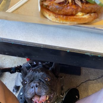 The Crack Shack - New American Near Me - Encinitas, California
