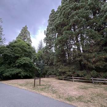 Washington Park Arboretum - Parks Near Me - Seattle, Washington Washington Park Arboretum - Parks Near Me - Seattle, Washington