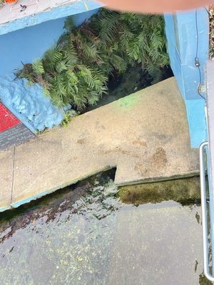 MANANTIAL OJO DE AGUA - Updated February 2026 - 18 Photos - Cll Amapola