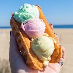 Coney Waffle Ice Cream