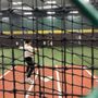Photo of D-BAT Boerne