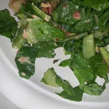 Vinaigrette Salad Kitchen - Another friend - Salad Near Me - Lexington, Kentucky