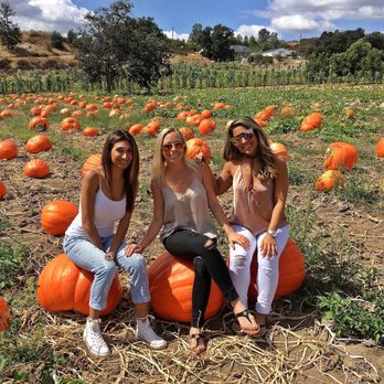 Bates Nut Farm - Specialty Food Near Me - Valley Center, California Bates Nut Farm - Specialty Food Near Me - Valley Center, California