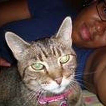 My Pet Garden - Rosie and I on her first night home, adopted May 19, 2008 after seeing her in the window of My Pet Garden. - Pet Stores Near Me - Pasadena, California My Pet Garden - Rosie and I on her first night home, adopted May 19, 2008 after seeing her in the window of My Pet Garden. - Pet Stores Near Me - Pasadena, California