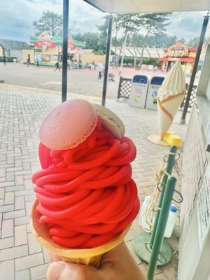 Hitachi Seaside Park by null