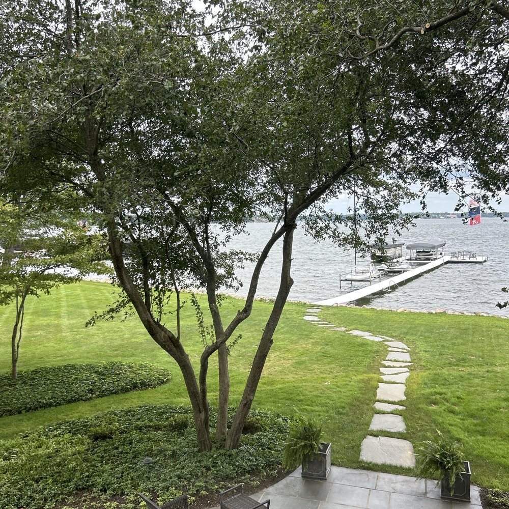 Aaron's Perfect Cut Tree Service - Washington Hawthorn near patio - Tree Services Near Me Aaron's Perfect Cut Tree Service - Washington Hawthorn near patio - Tree Services Near Me