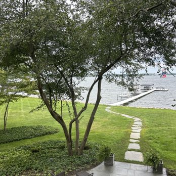Aaron's Perfect Cut Tree Service - Washington Hawthorn near patio - Tree Services Near Me