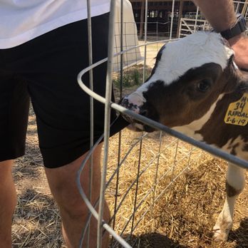 Perrydell Farm and Dairy - Ice Cream & Frozen Yogurt Near Me - York, Pennsylvania