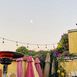 Cafe Cruz - Patio view