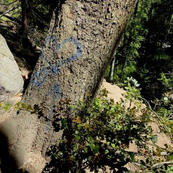 Heart Rock - 5/27/20 At 9am & 95 degrees Fahrenheit; Markings along the trail are hard to see, alongside the creek - Hiking Near Me - Crestline, California